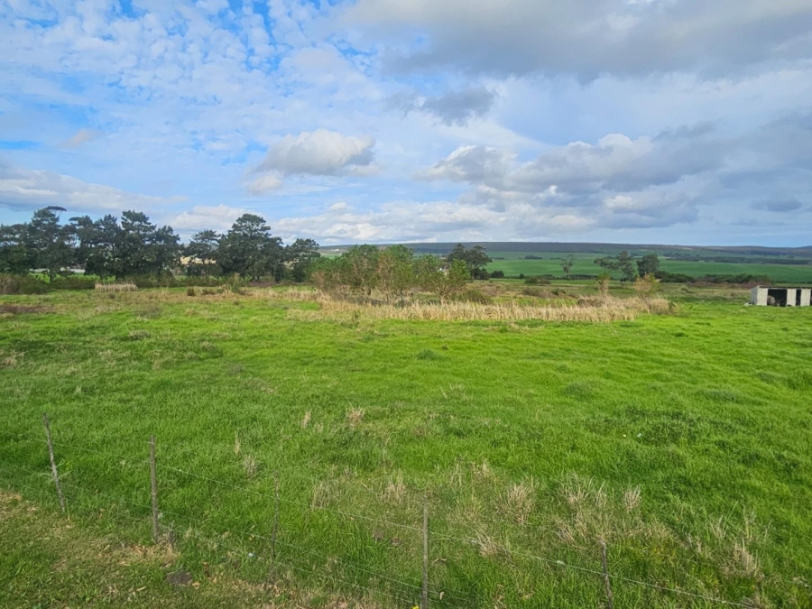 0 Bedroom Property for Sale in Baardskeerdersbos Western Cape